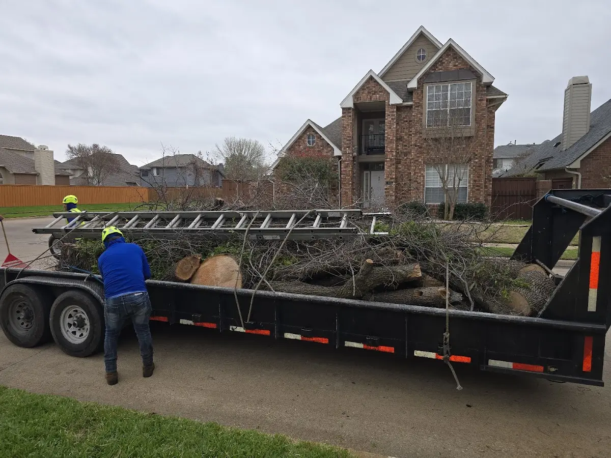 Expert Tree Removal with proper safety equipment in Atwater